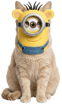 Кошка со смешным именем в клинике Vet Union