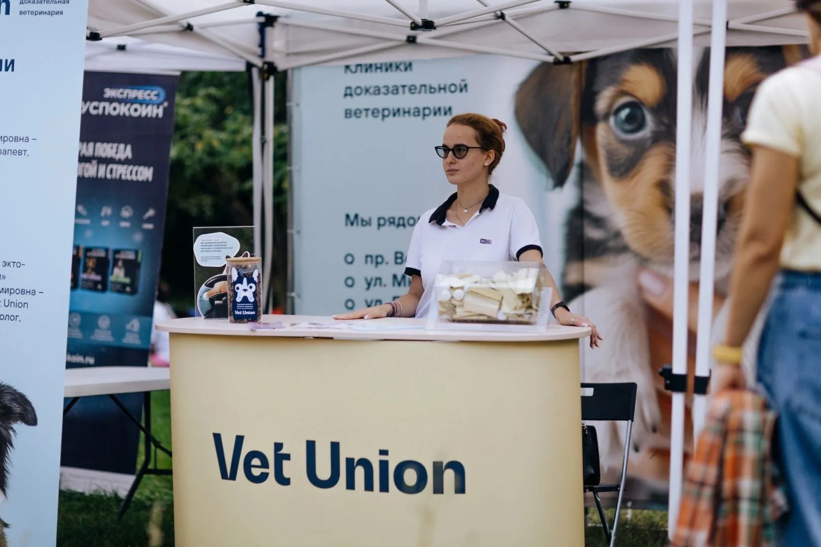 Vet Union на фестивале «Собаки, друзья и человеки»