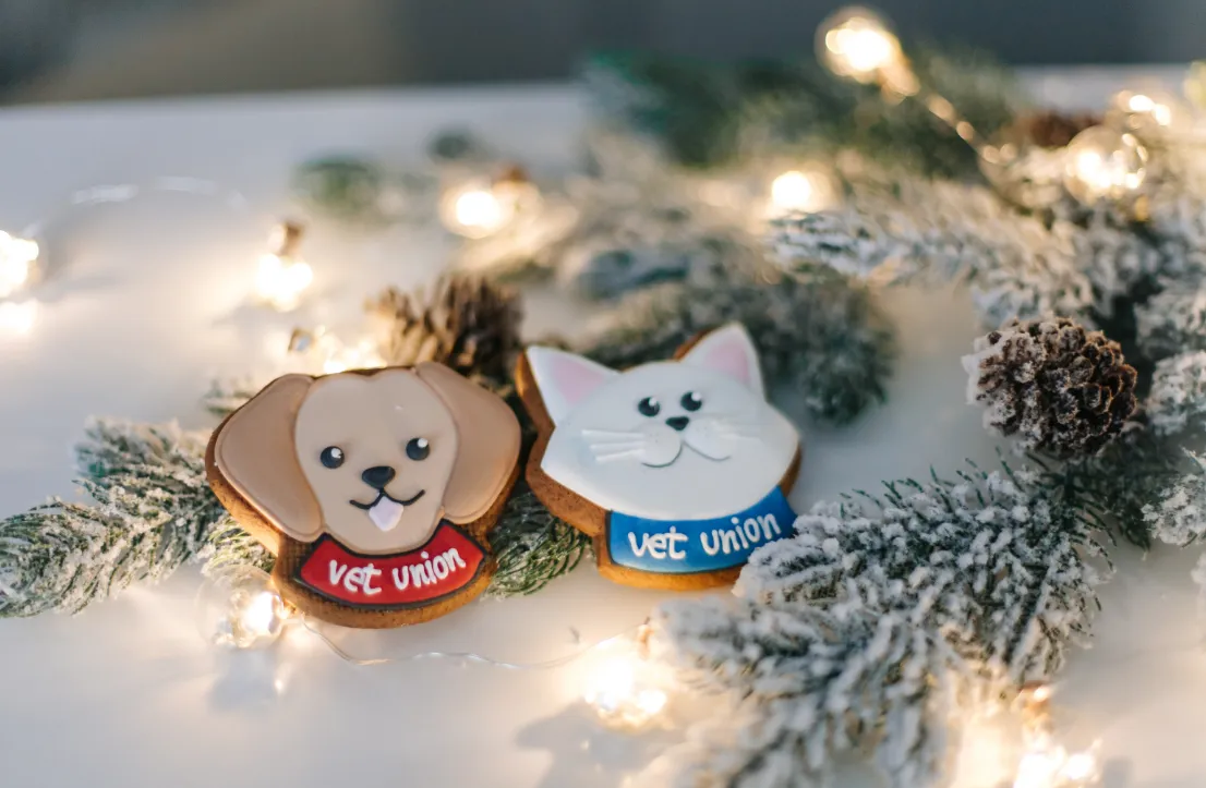 Рождественская атмосфера в клиниках Vet Union