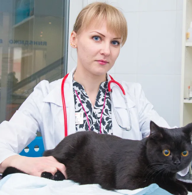 Вебинар с Юлией Кэдман