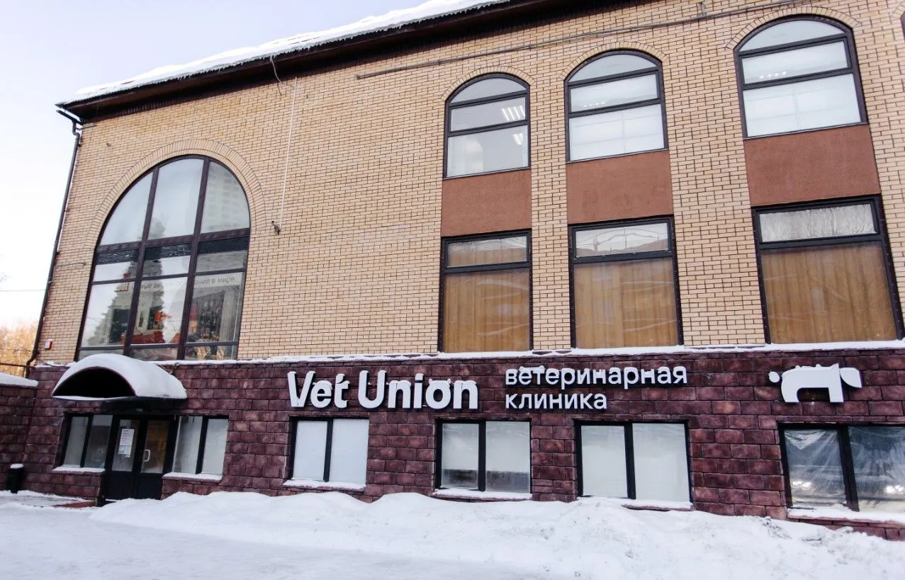 Открытие второго филиала ветеринарной клиники Vet Union