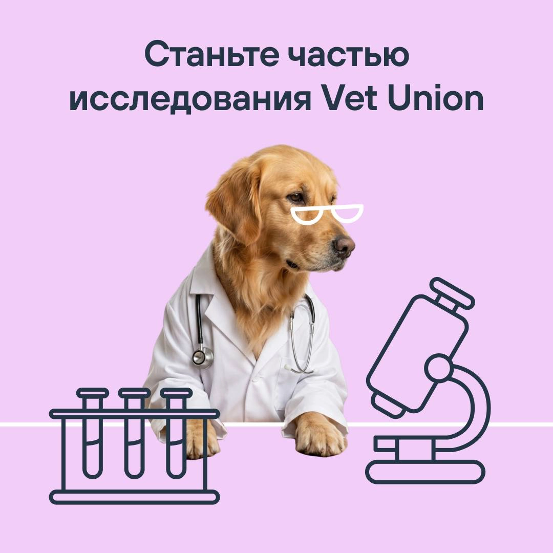 Ищем хвостатых добровольцев для научной работы Vet Union!