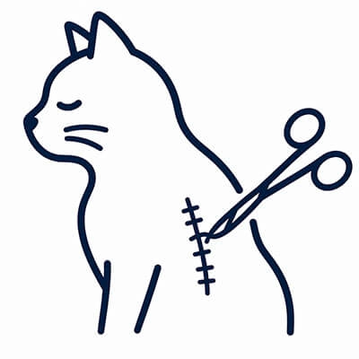 Перевязки, обработка ран и послеоперационных швов