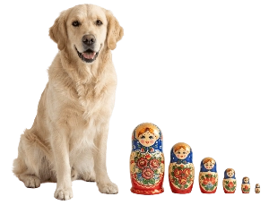 Собака девочка с русской кличкой в клинике Vet Union
